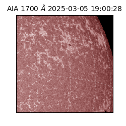 saia - 2025-03-05T19:00:28.729000