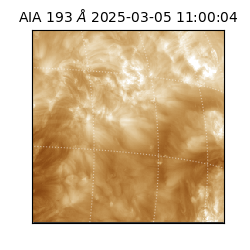 saia - 2025-03-05T11:00:04.842000