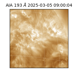 saia - 2025-03-05T09:00:04.843000