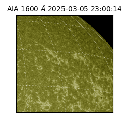 saia - 2025-03-05T23:00:14.118000