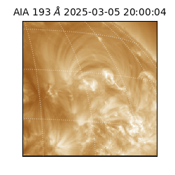 saia - 2025-03-05T20:00:04.843000