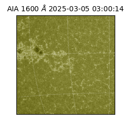 saia - 2025-03-05T03:00:14.125000