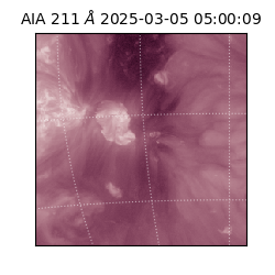 saia - 2025-03-05T05:00:09.626000