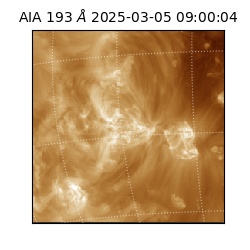 saia - 2025-03-05T09:00:04.843000