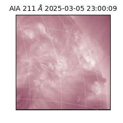 saia - 2025-03-05T23:00:09.618000