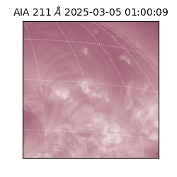 saia - 2025-03-05T01:00:09.632000