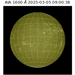 saia - 2025-03-05T09:00:38.125000