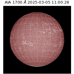 saia - 2025-03-05T11:00:28.720000