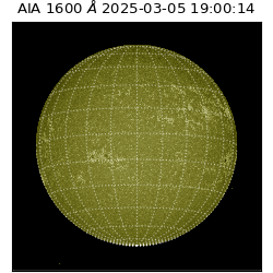 saia - 2025-03-05T19:00:14.122000