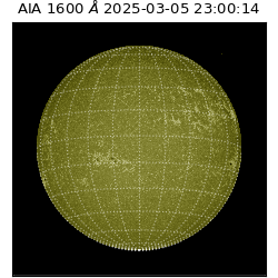 saia - 2025-03-05T23:00:14.118000