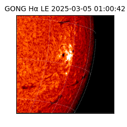 gong - 2025-03-05T01:00:42