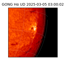 gong - 2025-03-05T03:00:02