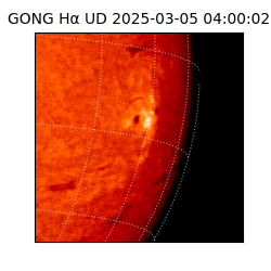 gong - 2025-03-05T04:00:02