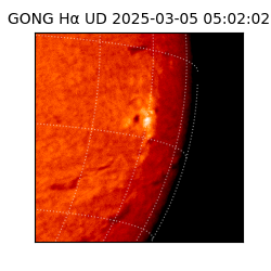 gong - 2025-03-05T05:02:02