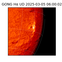 gong - 2025-03-05T06:00:02