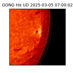 gong - 2025-03-05T07:00:02