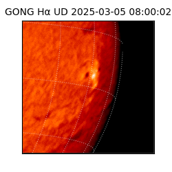 gong - 2025-03-05T08:00:02