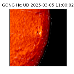 gong - 2025-03-05T11:00:02