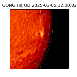 gong - 2025-03-05T12:00:02