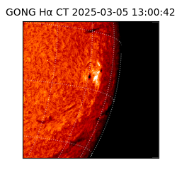 gong - 2025-03-05T13:00:42