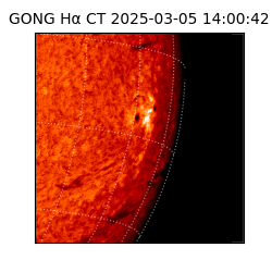 gong - 2025-03-05T14:00:42