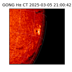 gong - 2025-03-05T21:00:42