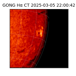 gong - 2025-03-05T22:00:42