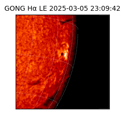 gong - 2025-03-05T23:09:42