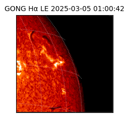 gong - 2025-03-05T01:00:42