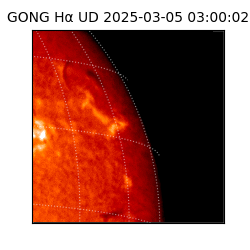 gong - 2025-03-05T03:00:02