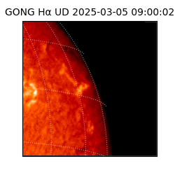 gong - 2025-03-05T09:00:02