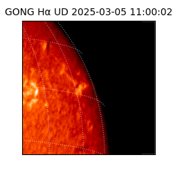 gong - 2025-03-05T11:00:02
