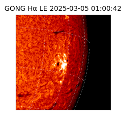 gong - 2025-03-05T01:00:42
