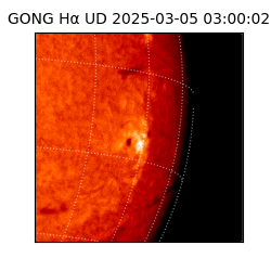 gong - 2025-03-05T03:00:02