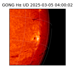 gong - 2025-03-05T04:00:02