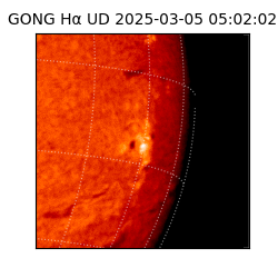 gong - 2025-03-05T05:02:02