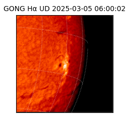 gong - 2025-03-05T06:00:02