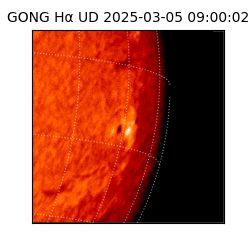 gong - 2025-03-05T09:00:02