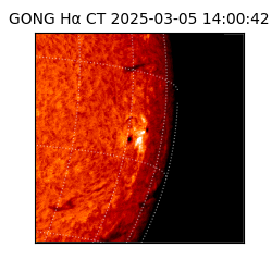 gong - 2025-03-05T14:00:42