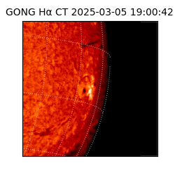 gong - 2025-03-05T19:00:42