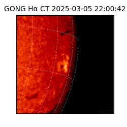 gong - 2025-03-05T22:00:42