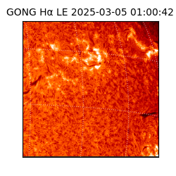 gong - 2025-03-05T01:00:42