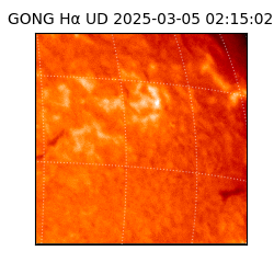 gong - 2025-03-05T02:15:02