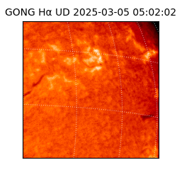 gong - 2025-03-05T05:02:02