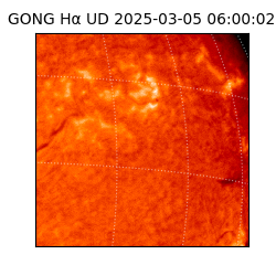 gong - 2025-03-05T06:00:02