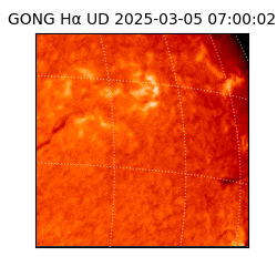 gong - 2025-03-05T07:00:02