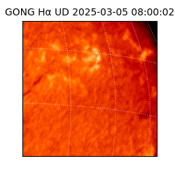 gong - 2025-03-05T08:00:02