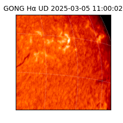 gong - 2025-03-05T11:00:02