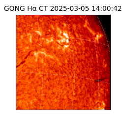 gong - 2025-03-05T14:00:42
