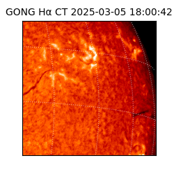 gong - 2025-03-05T18:00:42